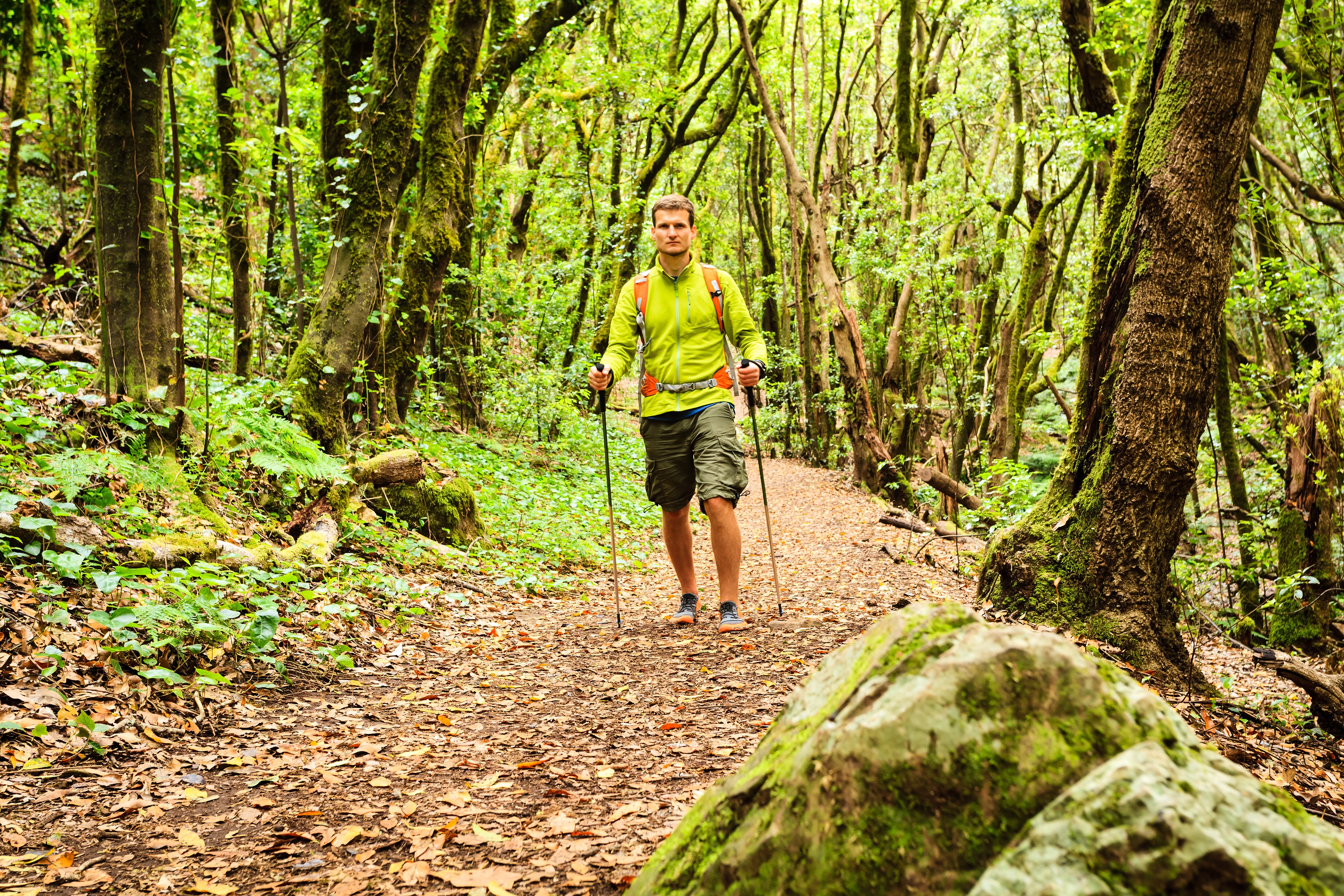 hiker-walking-trekking-in-green-forest-2021-08-26-22-35-22-utc