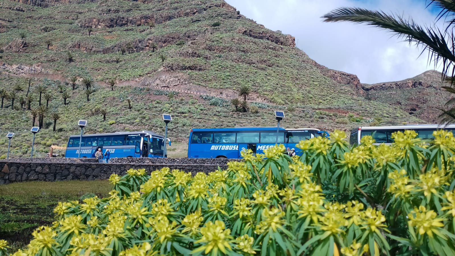 Red de Empresas CETS de La Gomera