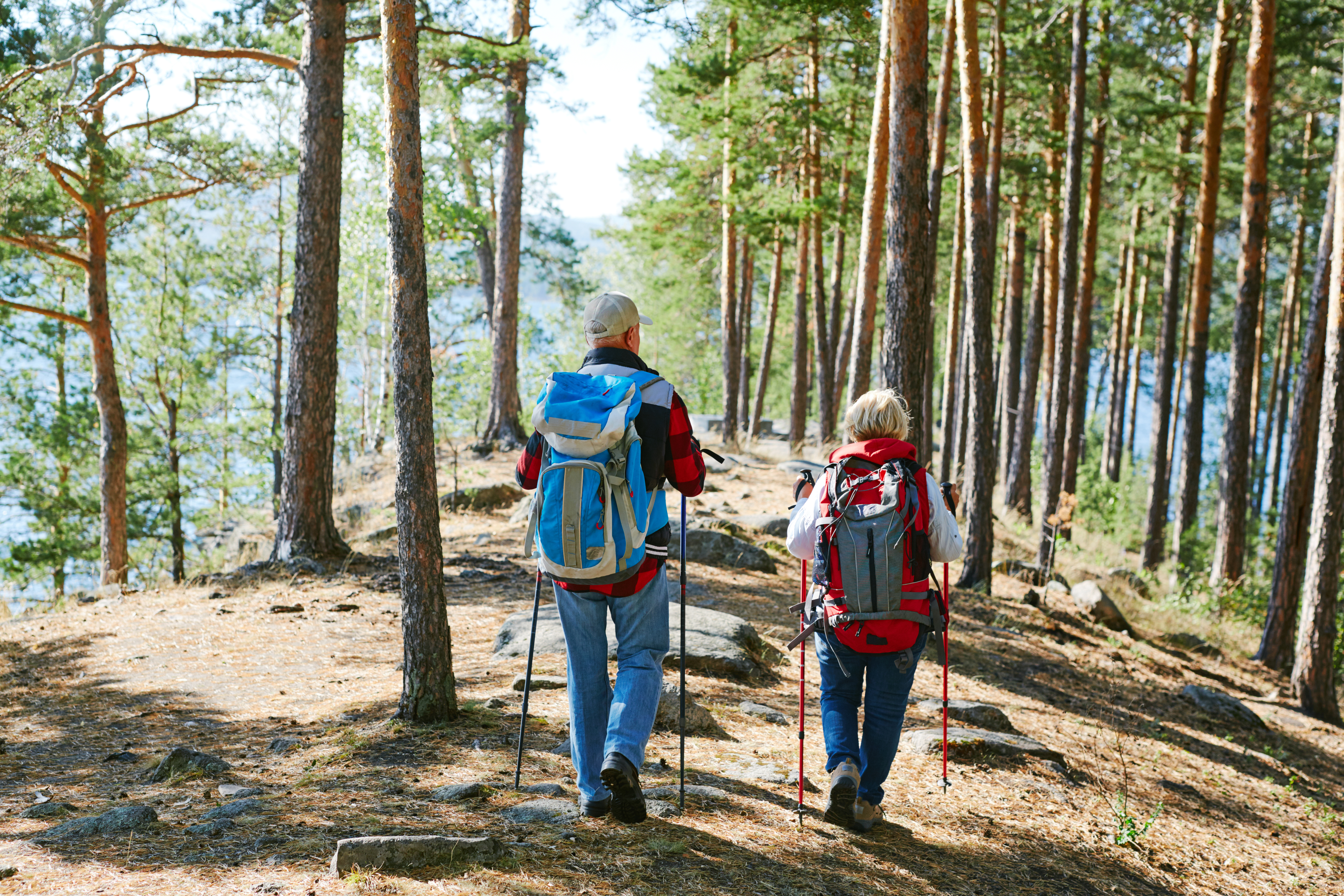 trekking-in-the-forest-2022-02-02-05-06-21-utc